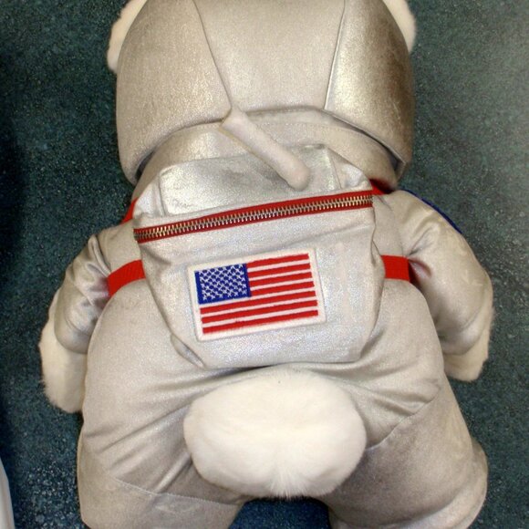 Mr Santa Bear 2001 Mission: Planet Christmas Dayton Hudson w/ Tags & Bag - GIFT! - Picture 4 of 5